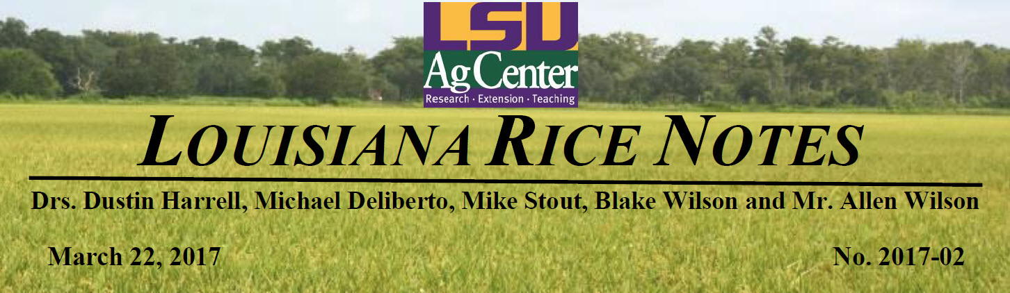 2017 Louisiana Rice Field Notes #2